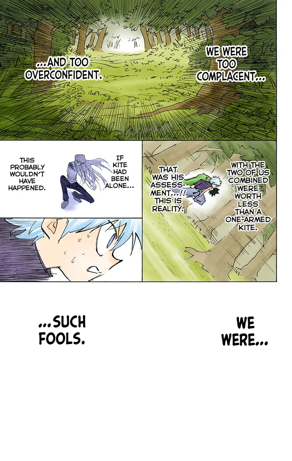 Hunter x Hunter Colored Manga, chapter 198, page 15