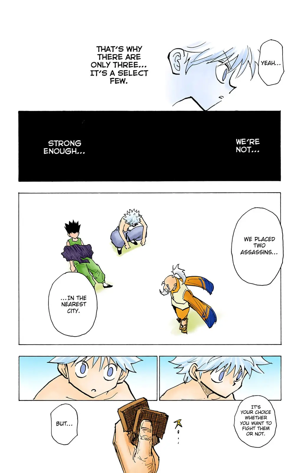 Hunter x Hunter Colored Manga, chapter 199, page 8