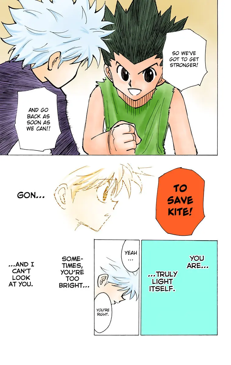 Hunter x Hunter Colored Manga, chapter 199, page 13