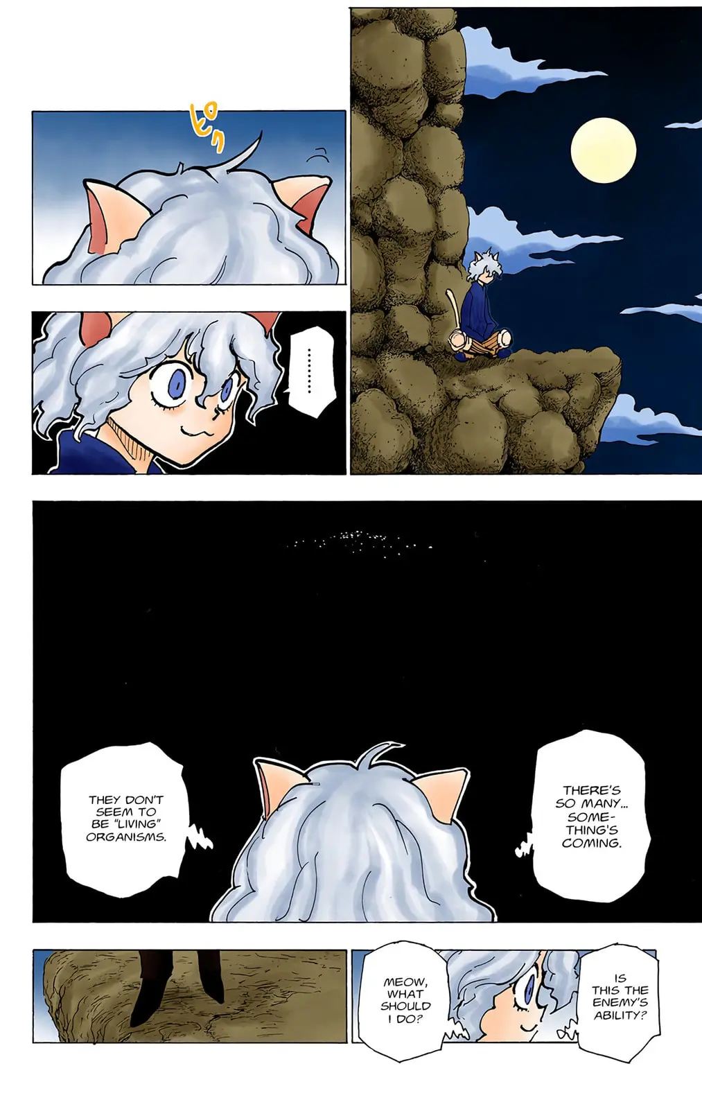 Hunter x Hunter Colored Manga, chapter 202, page 8