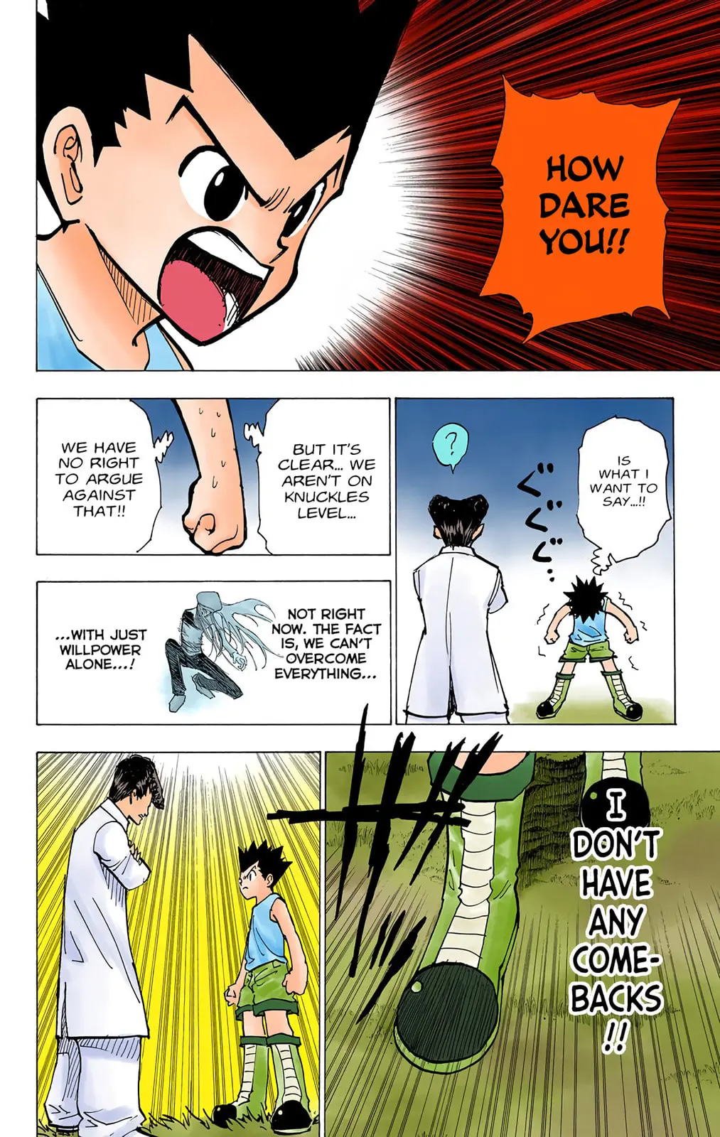 Hunter x Hunter Colored Manga, chapter 203, page 5