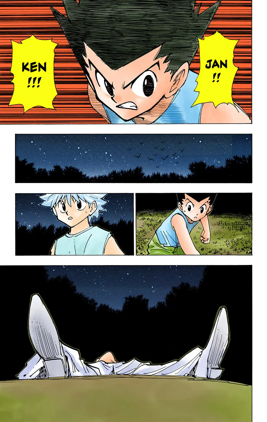 Hunter x Hunter Colored Manga, chapter 203, page 8