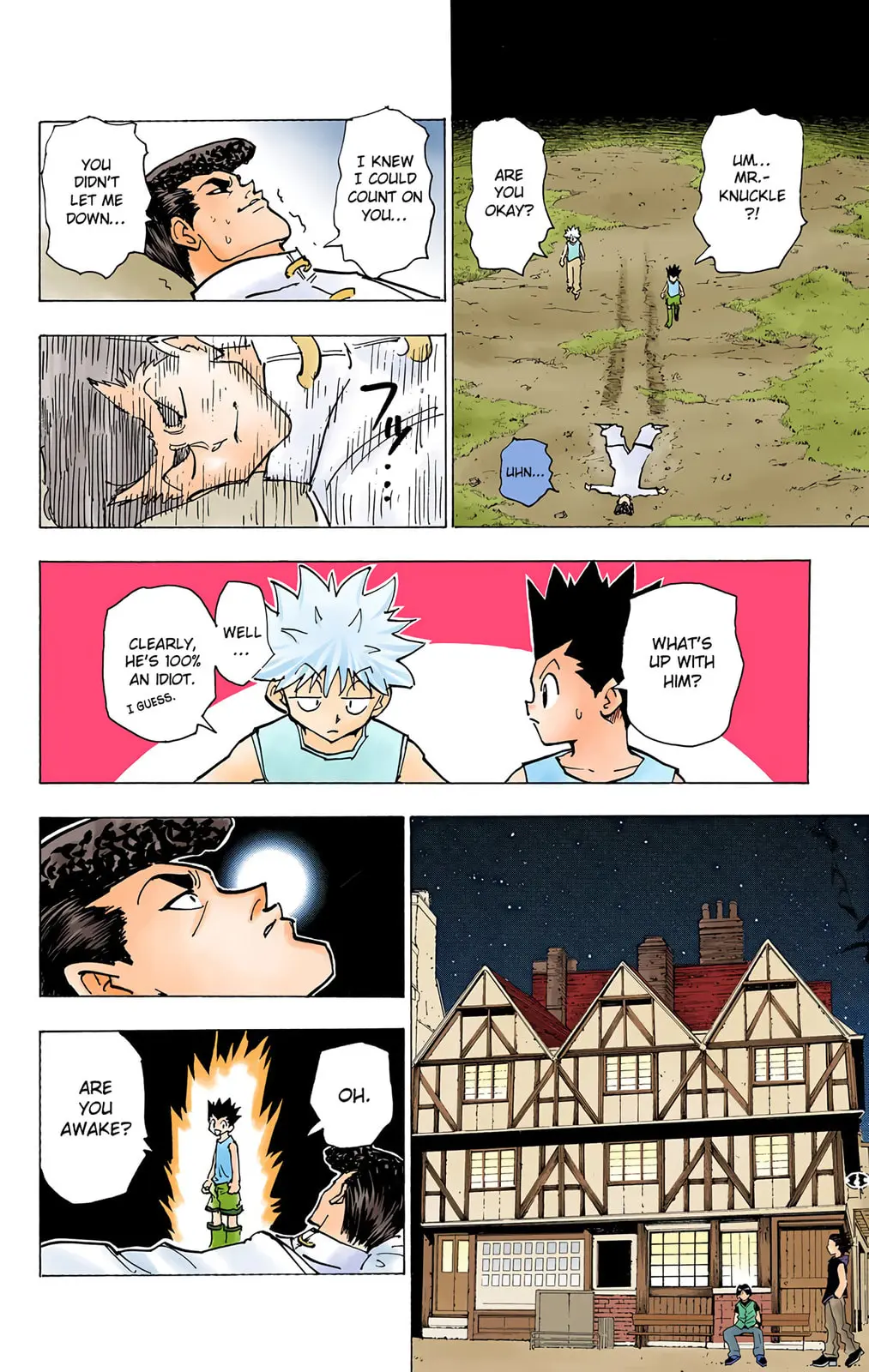Hunter x Hunter Colored Manga, chapter 203, page 9