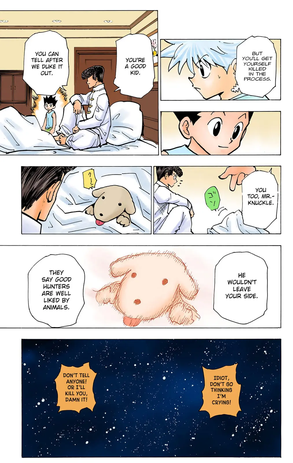 Hunter x Hunter Colored Manga, chapter 203, page 12