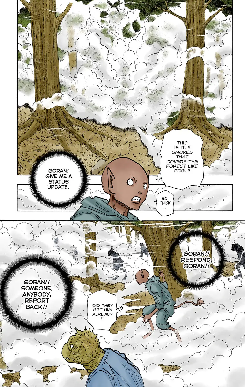Hunter x Hunter Colored Manga, chapter 205, page 11