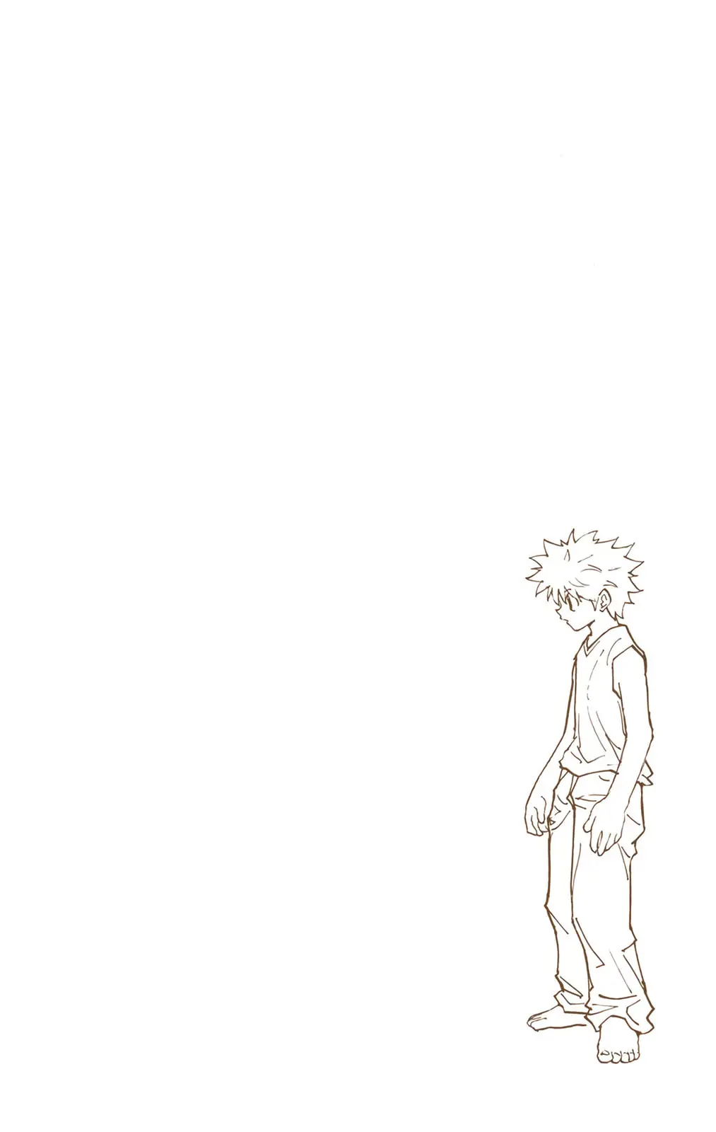 Hunter x Hunter Colored Manga, chapter 205, page 16