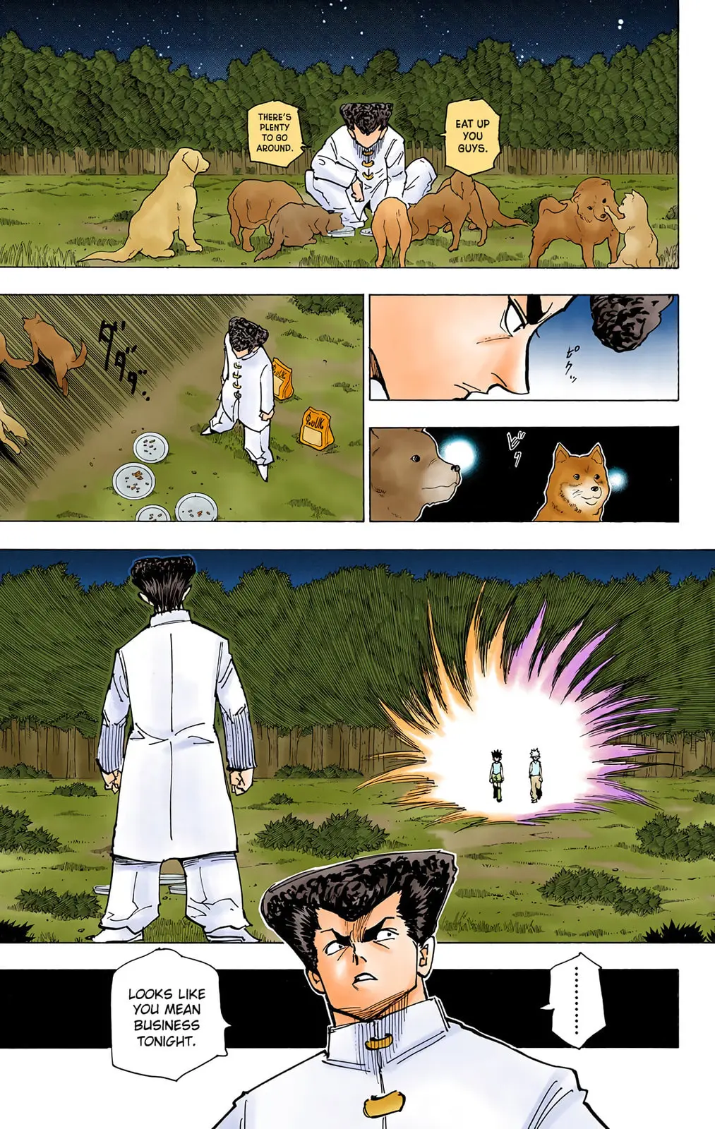 Hunter x Hunter Colored Manga, chapter 206, page 3