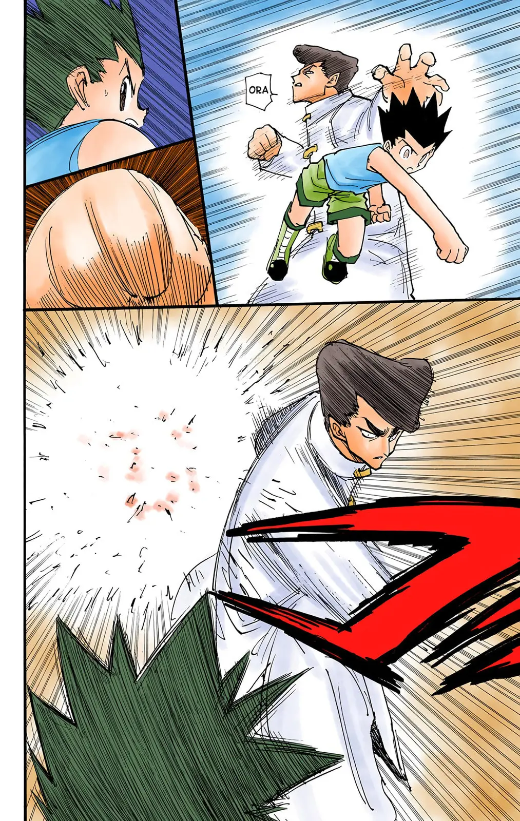Hunter x Hunter Colored Manga, chapter 206, page 9