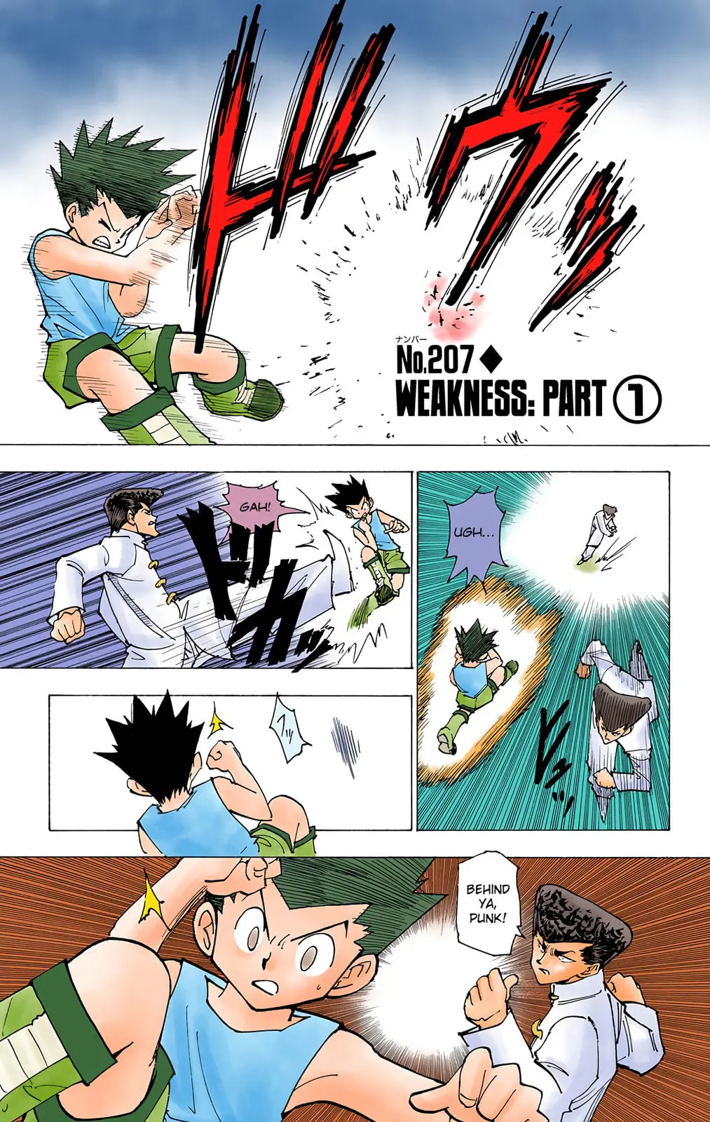 Hunter x Hunter Colored Manga, chapter 207, page 1