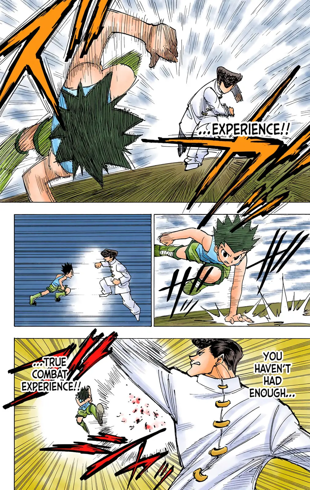 Hunter x Hunter Colored Manga, chapter 207, page 8