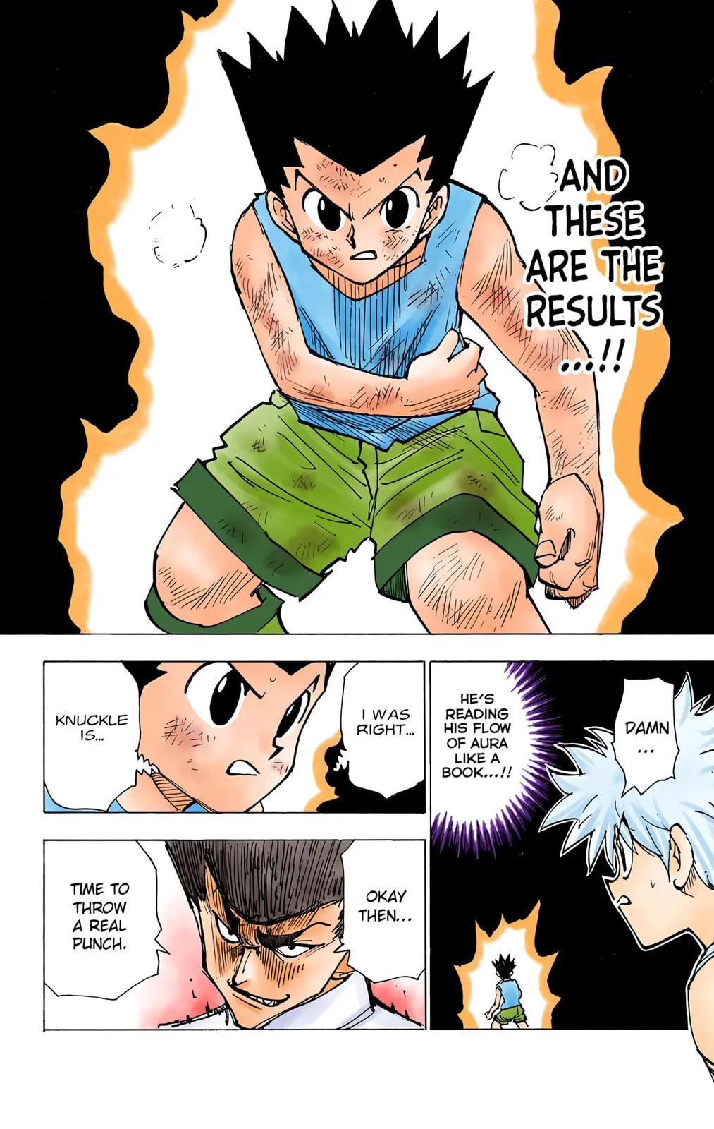 Hunter x Hunter Colored Manga, chapter 207, page 10