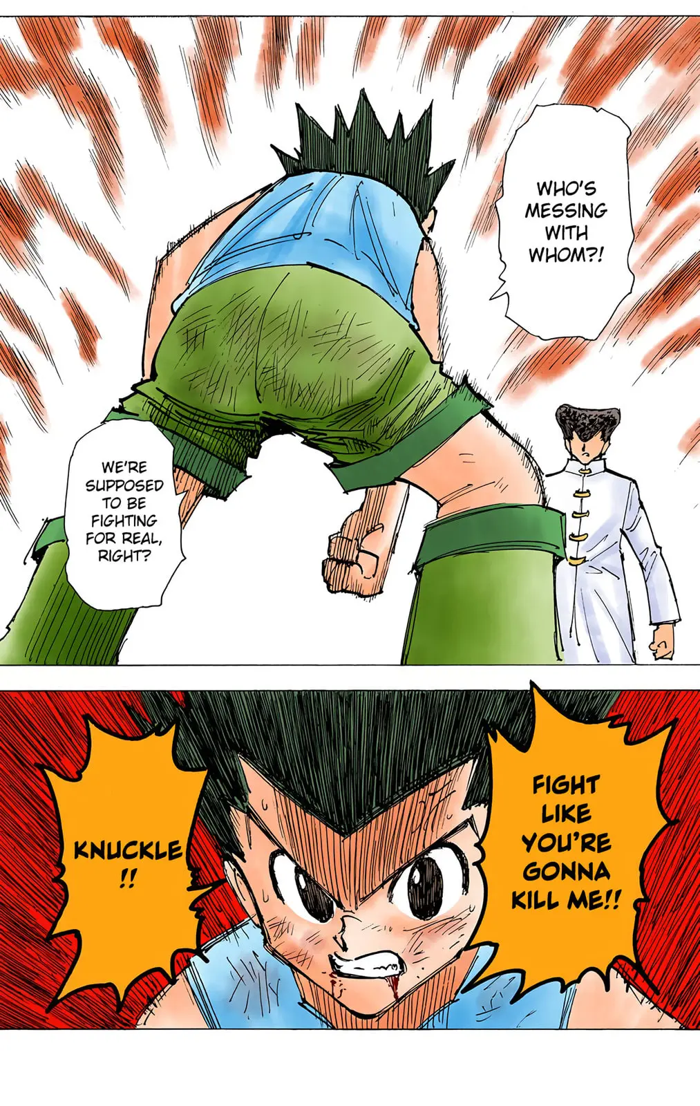 Hunter x Hunter Colored Manga, chapter 207, page 14