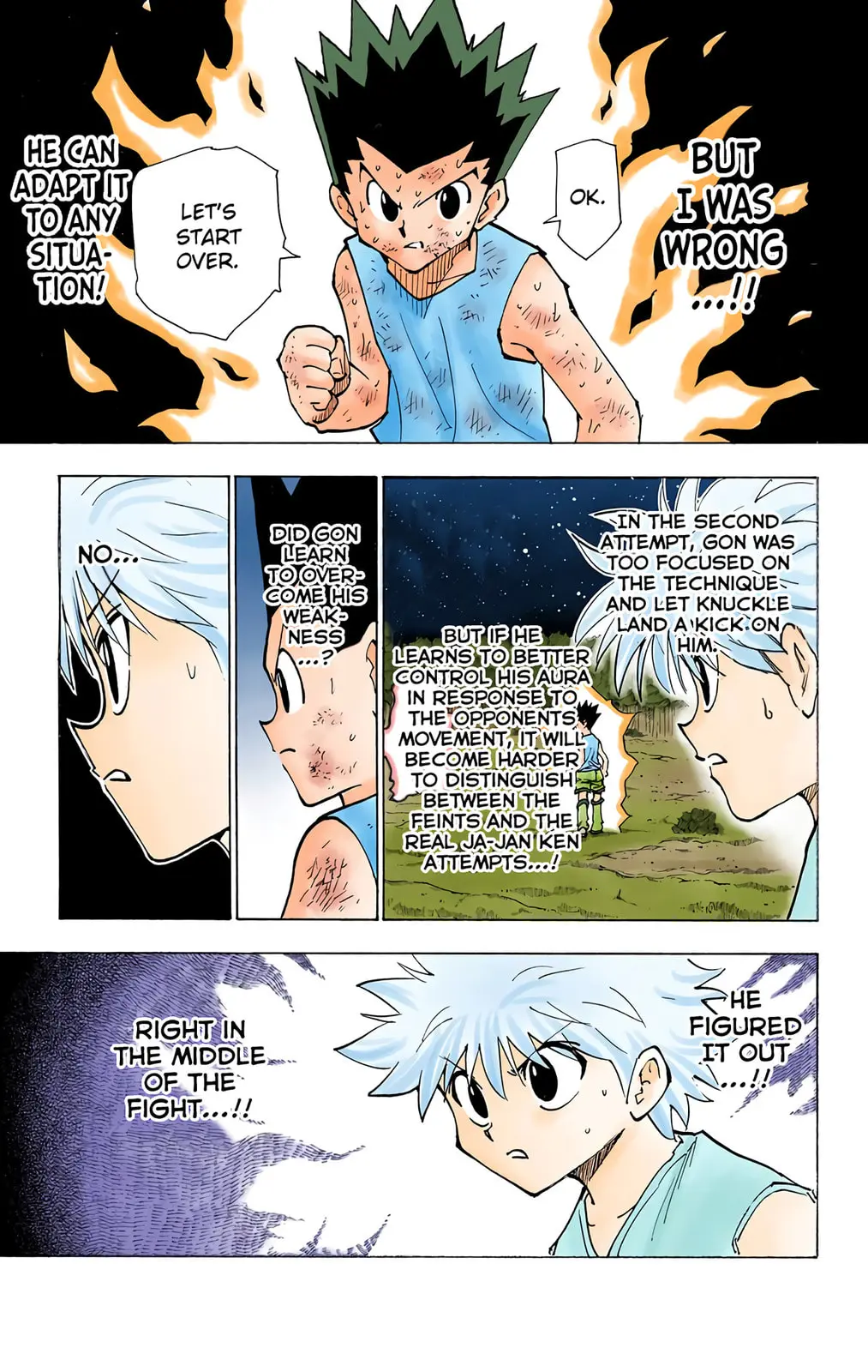 Hunter x Hunter Colored Manga, chapter 208, page 7