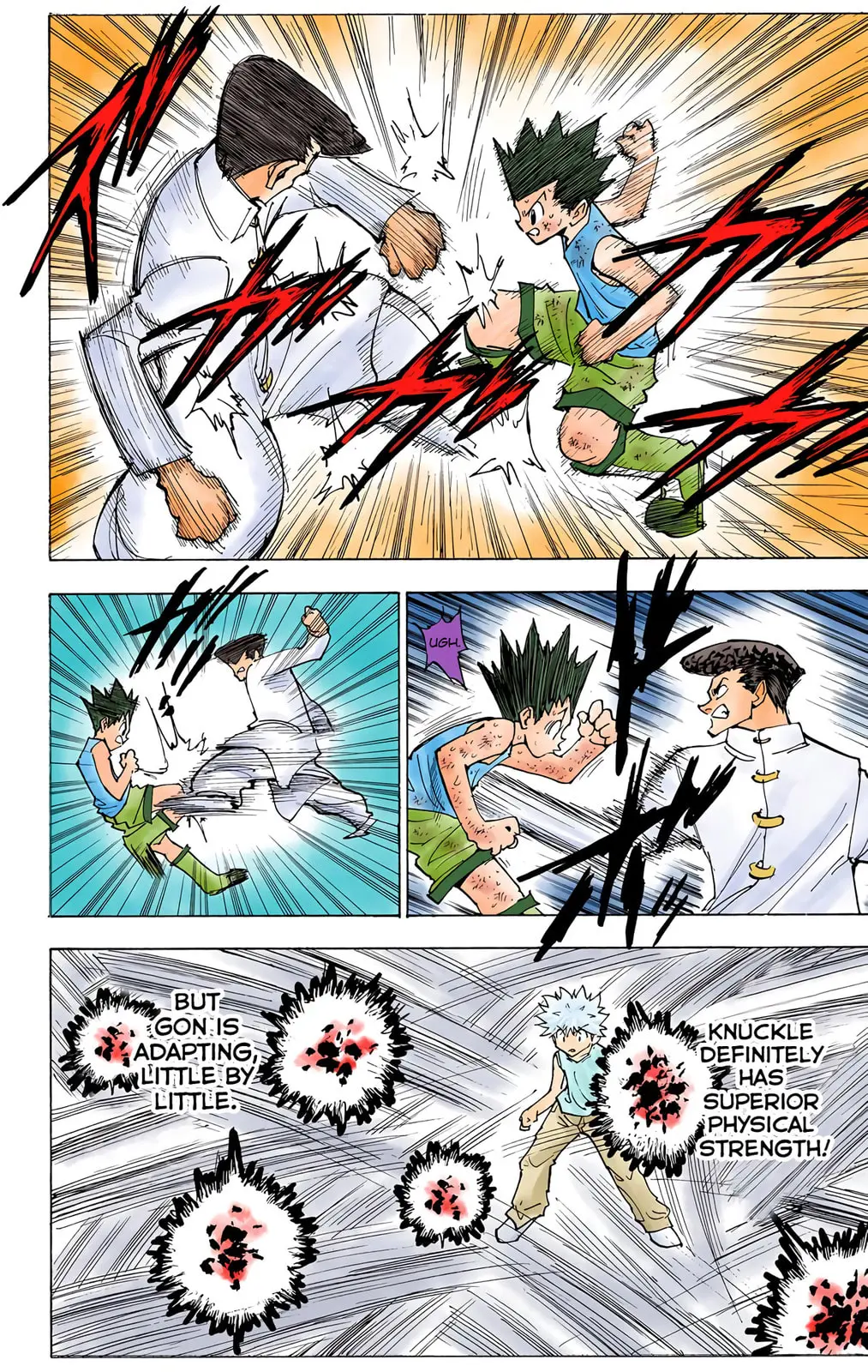 Hunter x Hunter Colored Manga, chapter 208, page 10