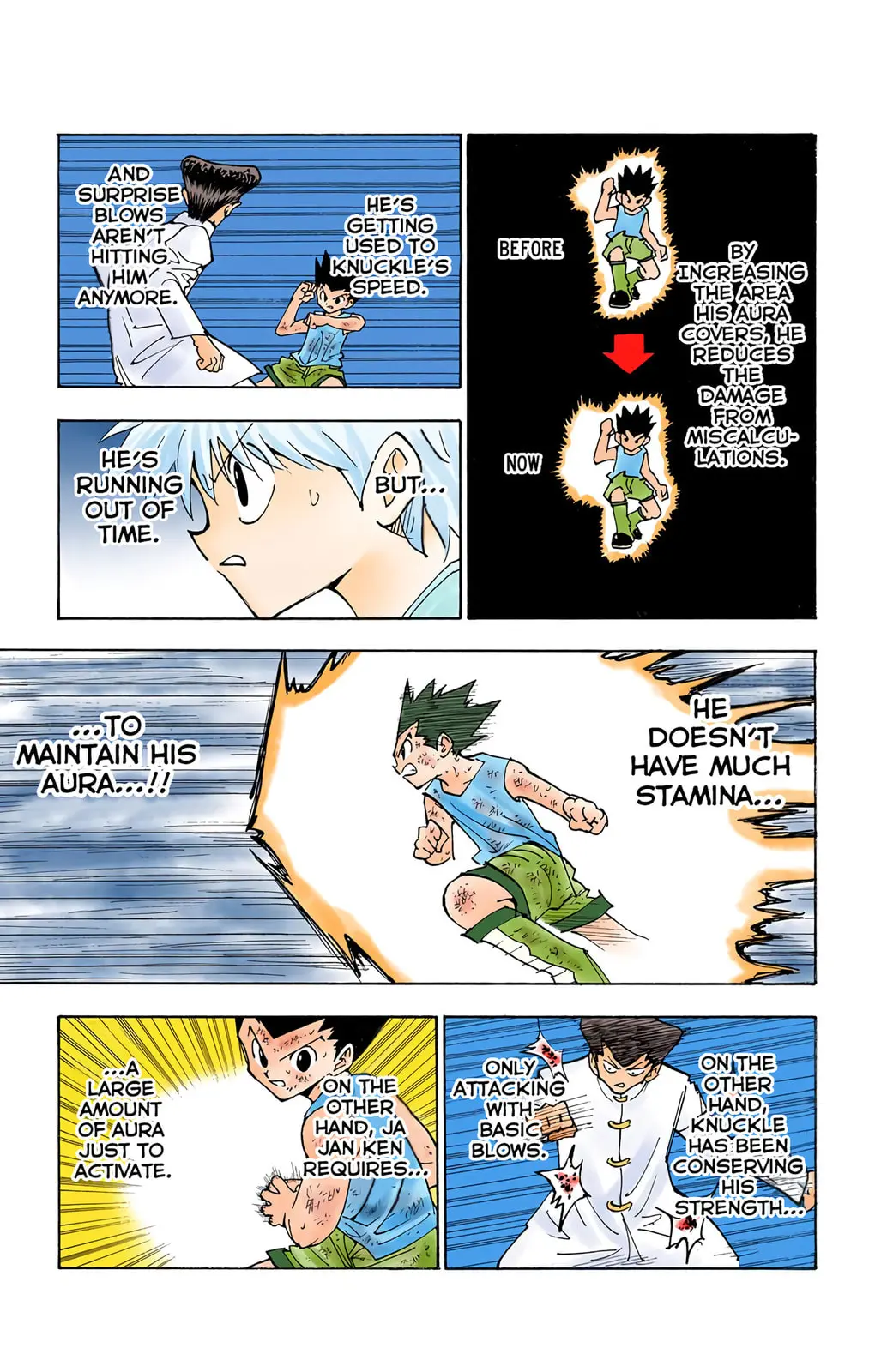 Hunter x Hunter Colored Manga, chapter 208, page 11