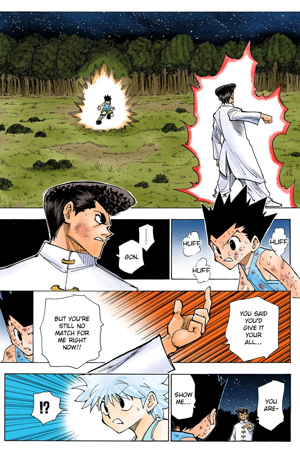 Hunter x Hunter Colored Manga, chapter 208, page 13