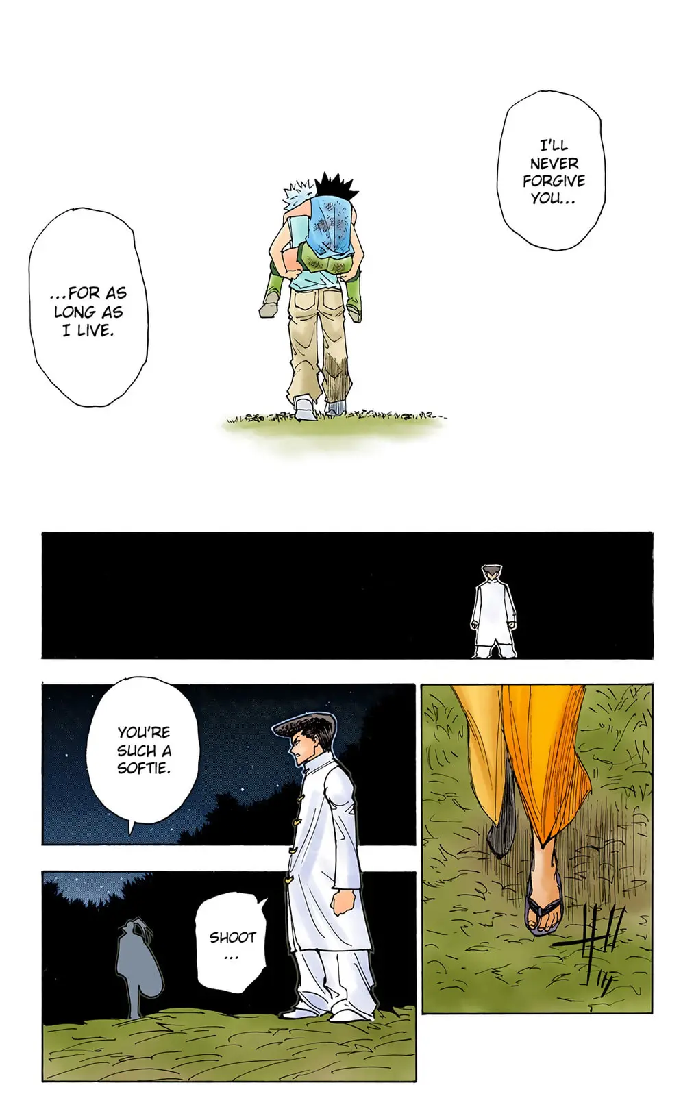 Hunter x Hunter Colored Manga, chapter 209, page 12