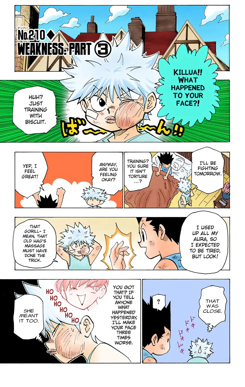 Hunter x Hunter Colored Manga, chapter 210, page 1