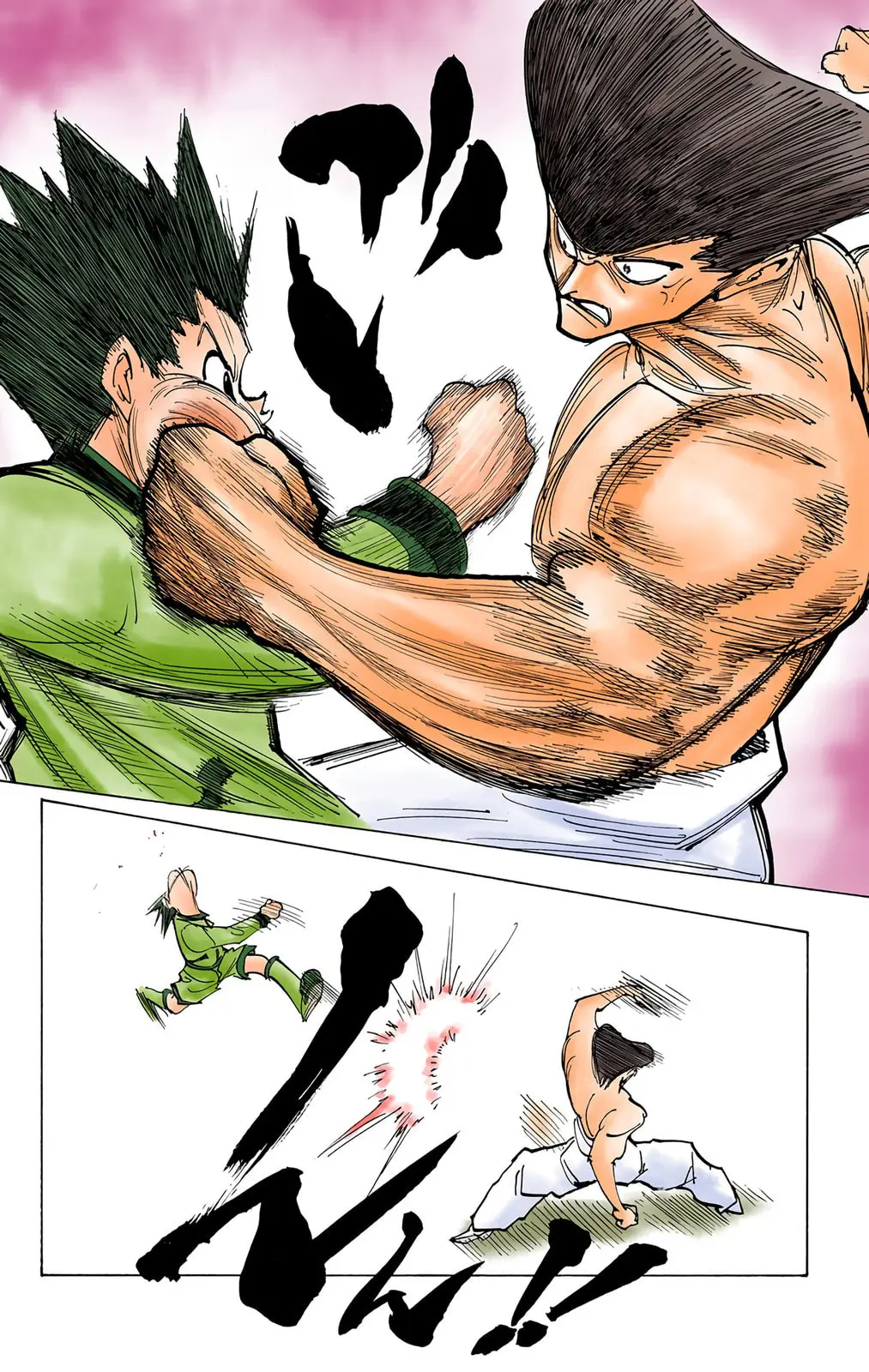 Hunter x Hunter Colored Manga, chapter 210, page 12
