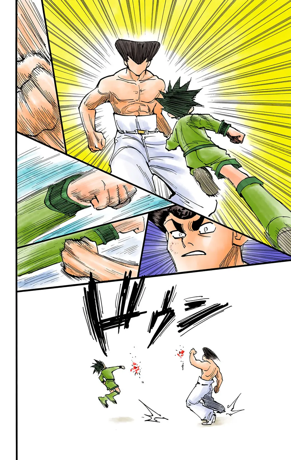 Hunter x Hunter Colored Manga, chapter 211, page 10