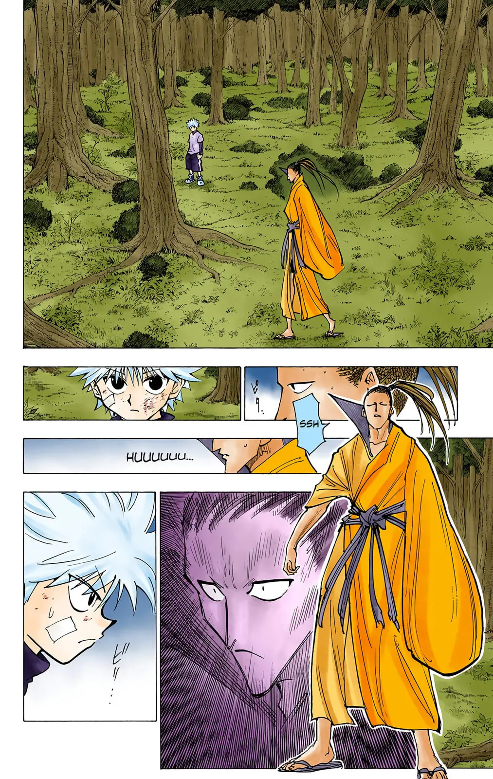 Hunter x Hunter Colored Manga, chapter 211, page 14
