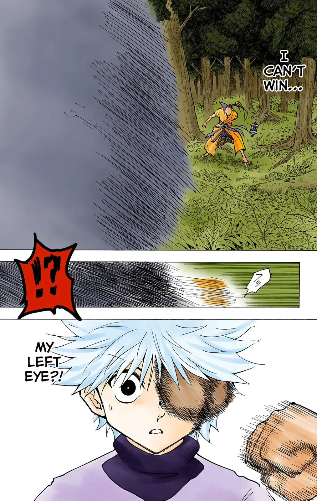 Hunter x Hunter Colored Manga, chapter 212, page 9