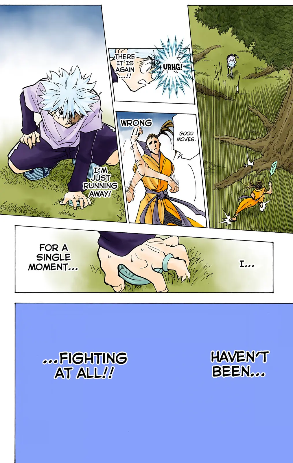 Hunter x Hunter Colored Manga, chapter 212, page 12