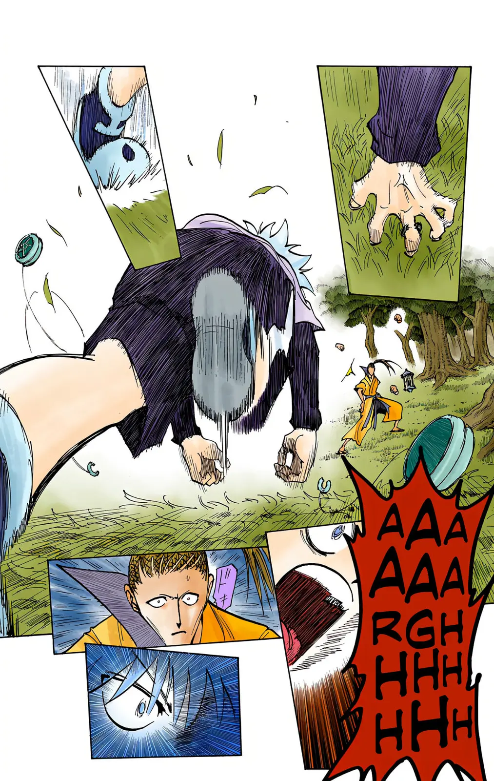 Hunter x Hunter Colored Manga, chapter 212, page 13