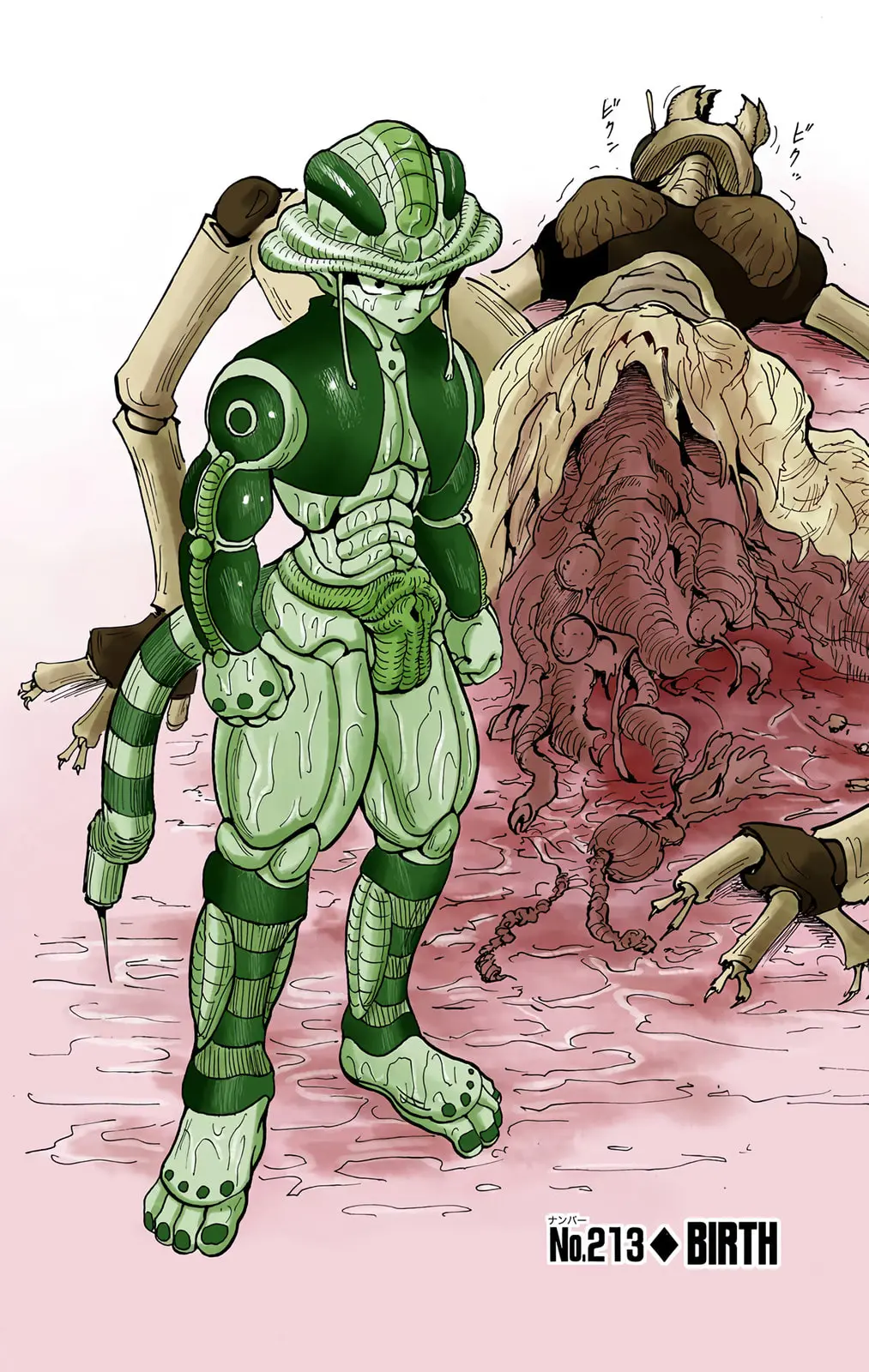 Hunter x Hunter Colored Manga, chapter 213, page 2