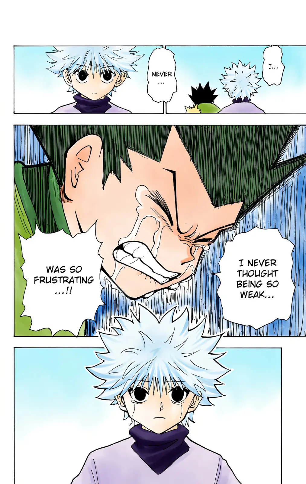 Hunter x Hunter Colored Manga, chapter 214, page 14