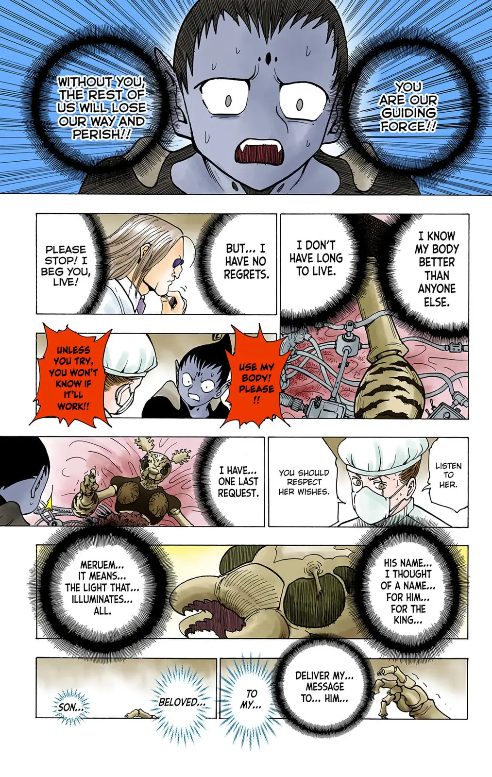 Hunter x Hunter Colored Manga, chapter 215, page 9