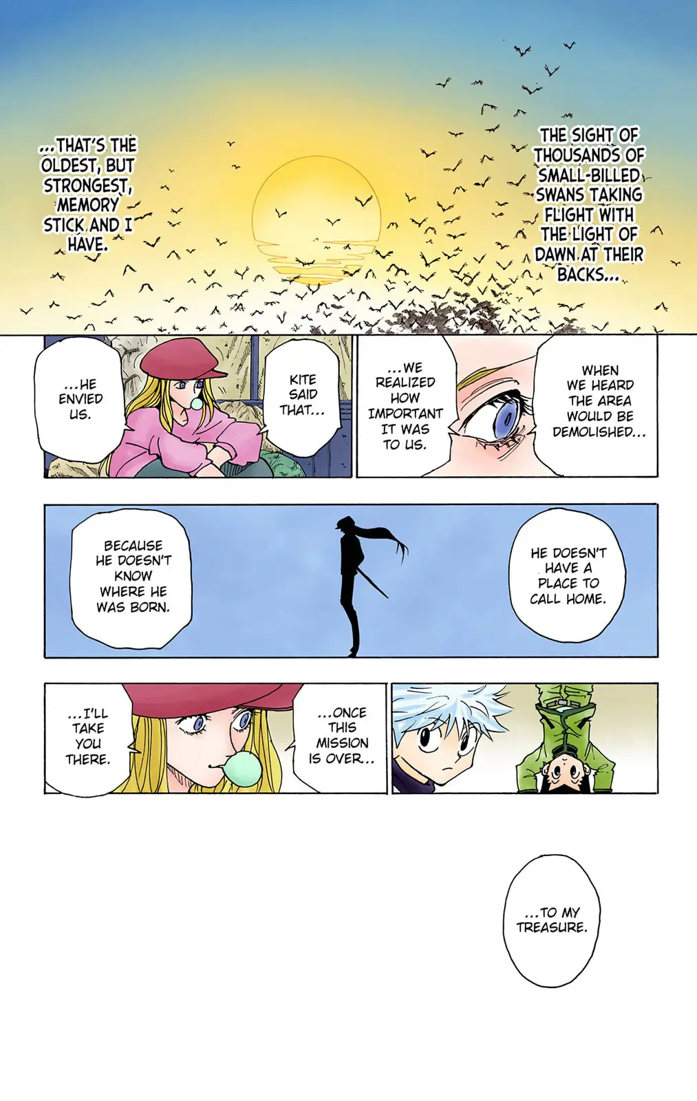 Hunter x Hunter Colored Manga, chapter 216, page 5