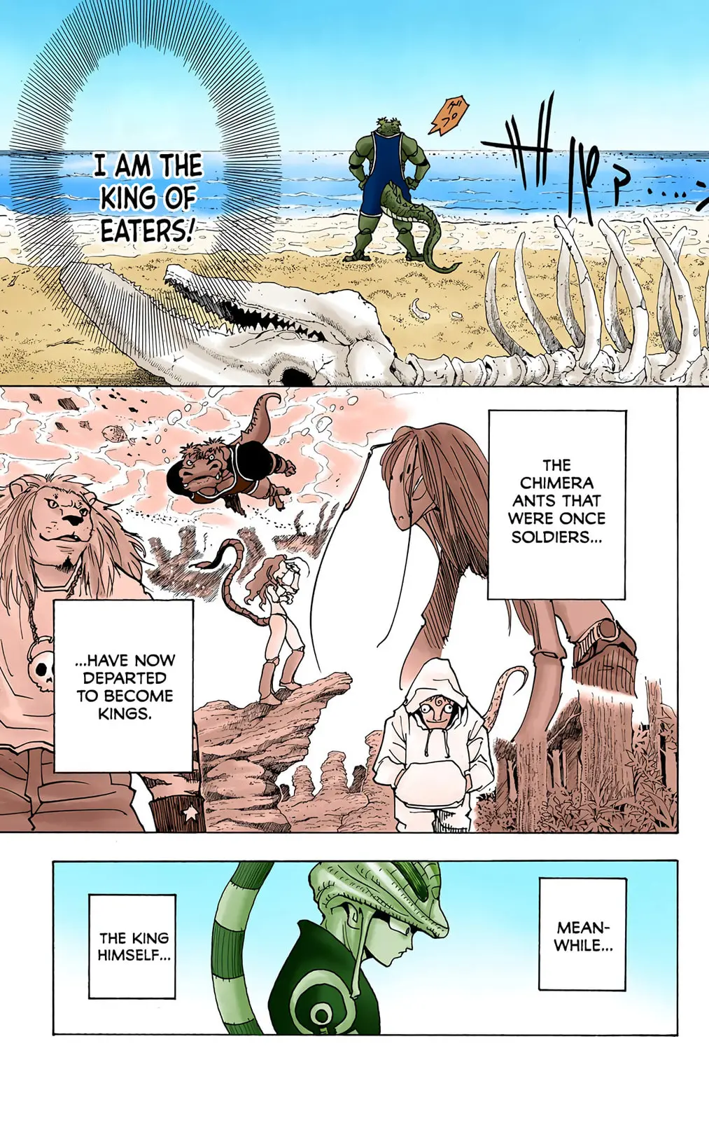 Hunter x Hunter Colored Manga, chapter 216, page 9