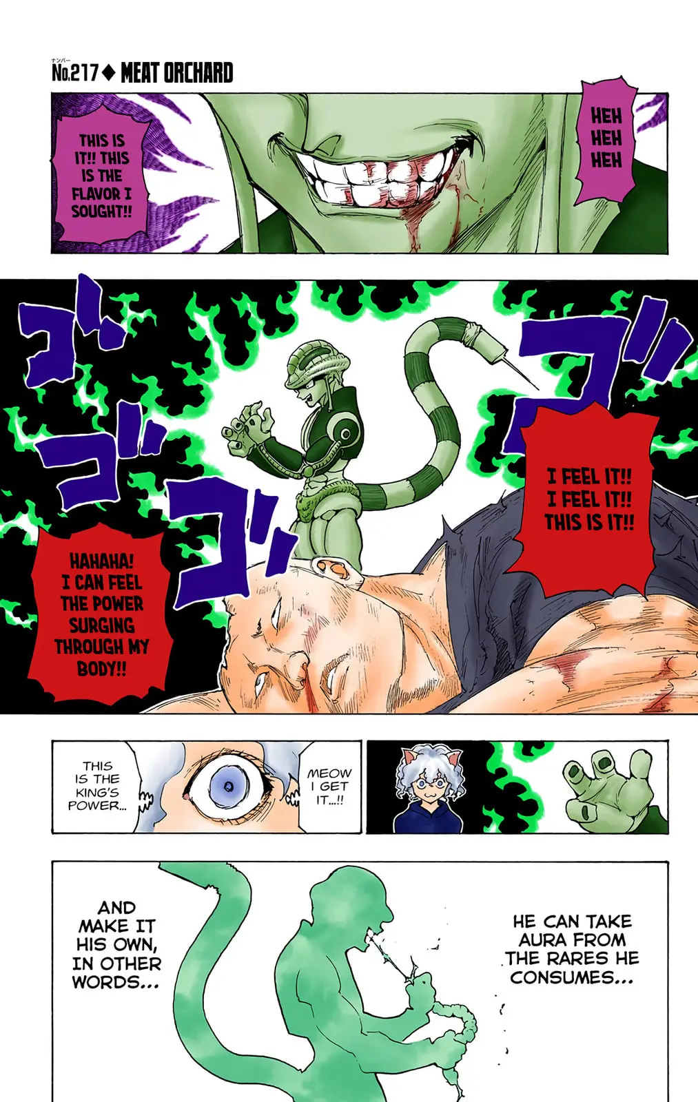 Hunter x Hunter Colored Manga, chapter 217, page 1
