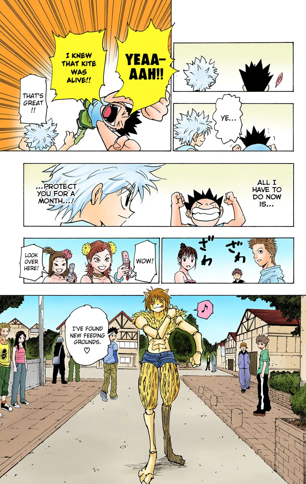 Hunter x Hunter Colored Manga, chapter 217, page 15