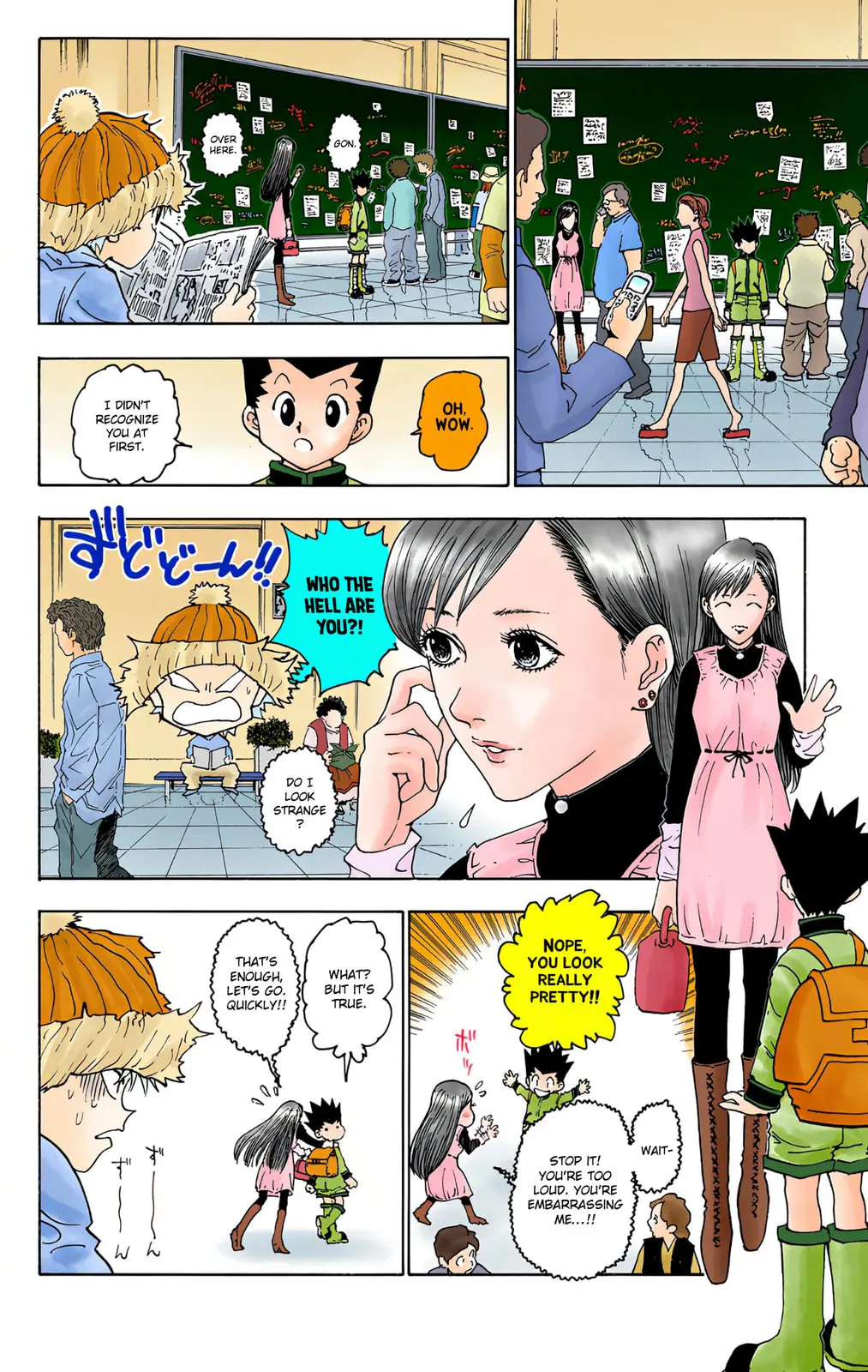 Hunter x Hunter Colored Manga, chapter 218, page 8