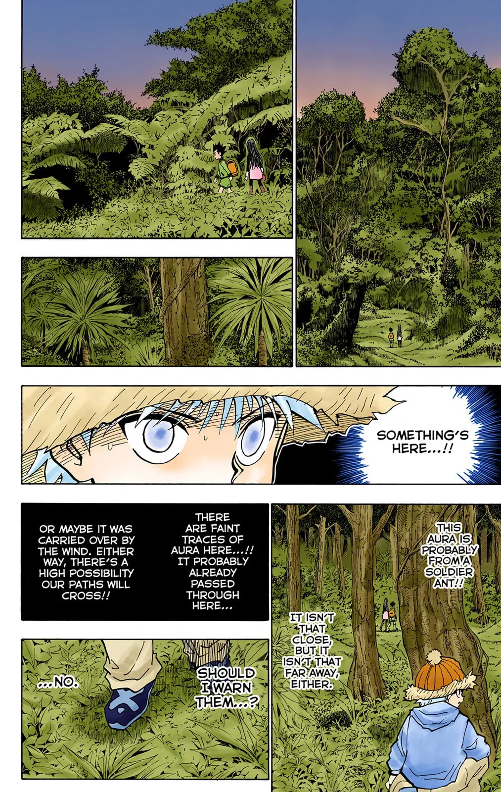 Hunter x Hunter Colored Manga, chapter 218, page 10