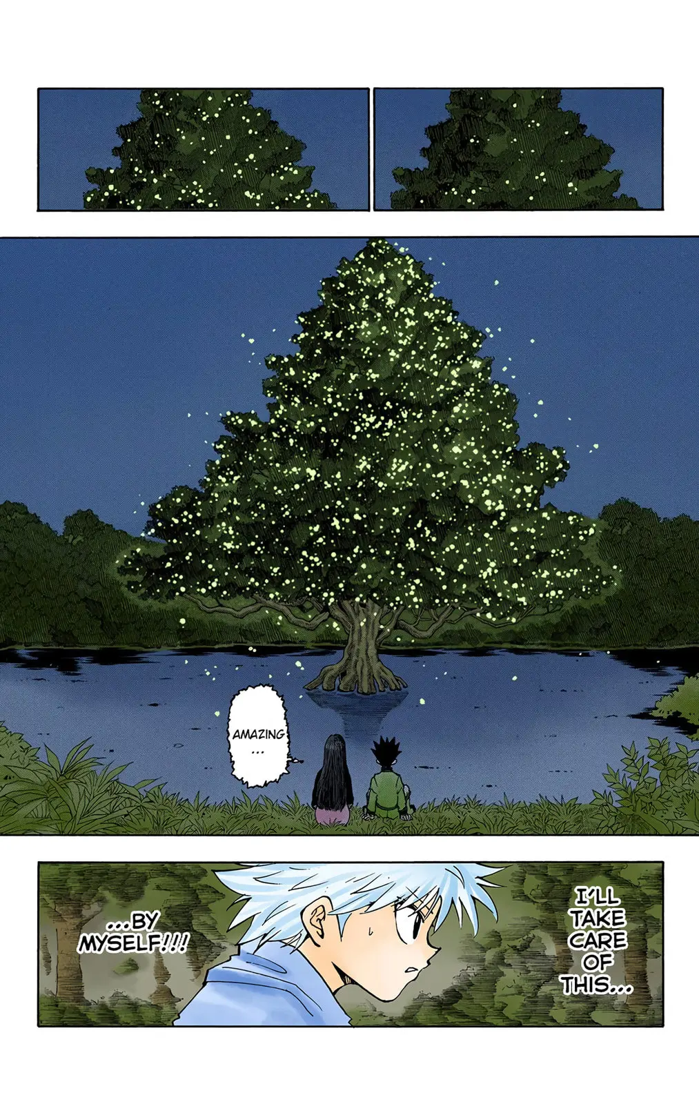 Hunter x Hunter Colored Manga, chapter 218, page 12