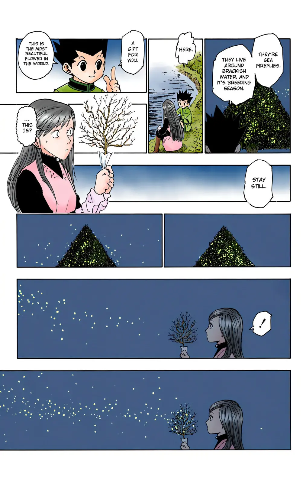 Hunter x Hunter Colored Manga, chapter 218, page 13