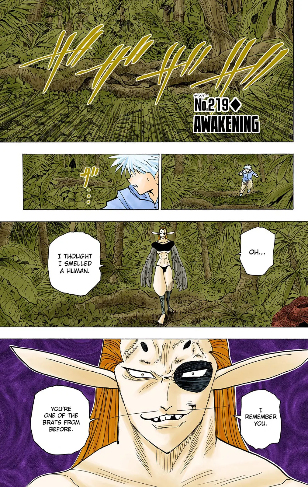 Hunter x Hunter Colored Manga, chapter 219, page 1