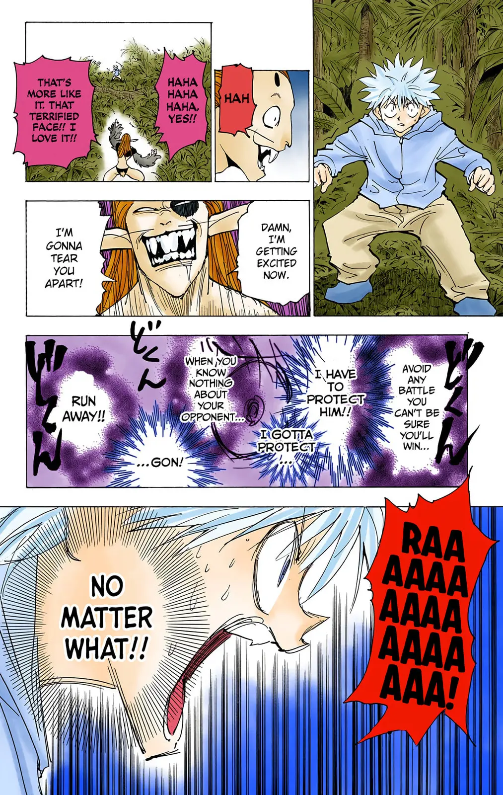 Hunter x Hunter Colored Manga, chapter 219, page 4