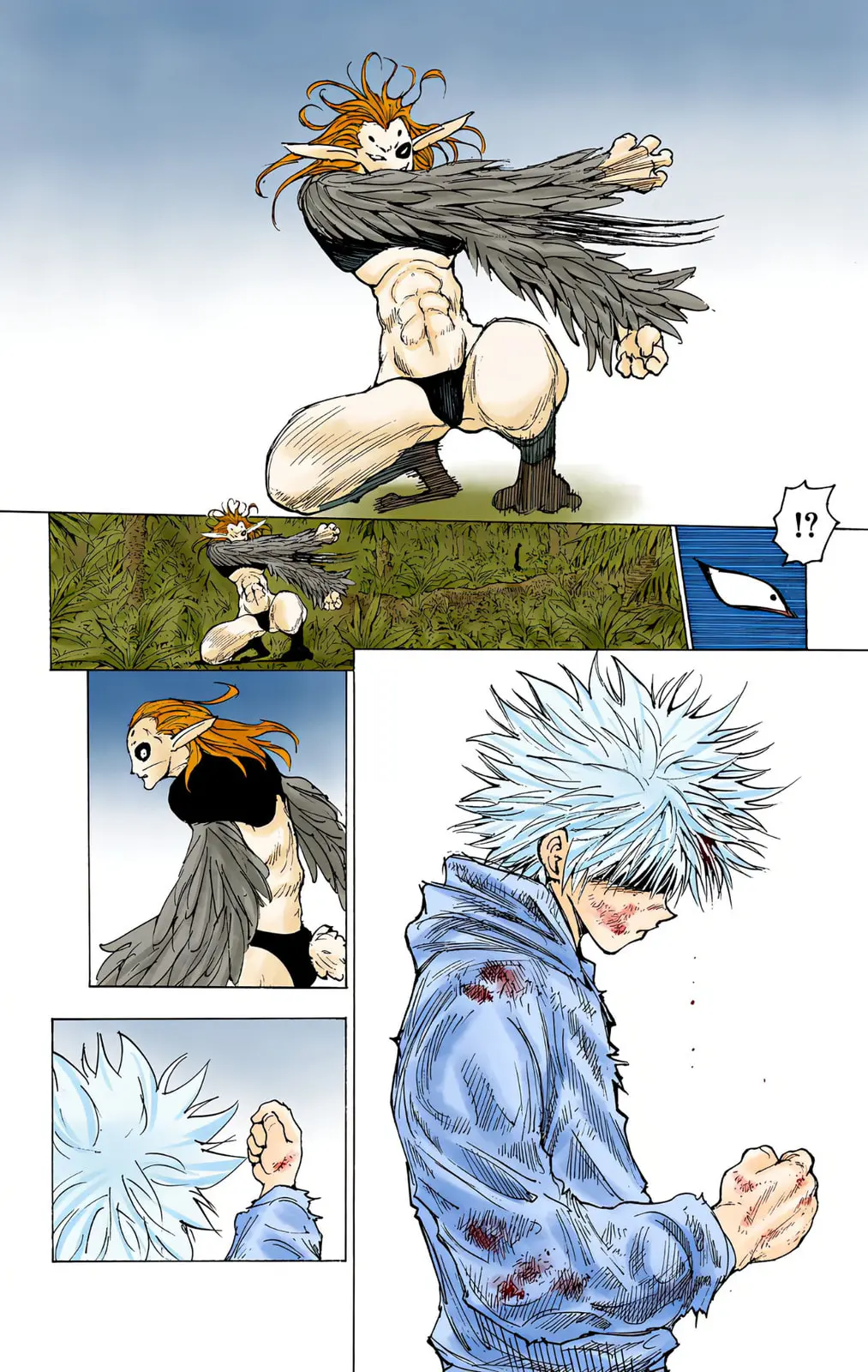 Hunter x Hunter Colored Manga, chapter 219, page 10