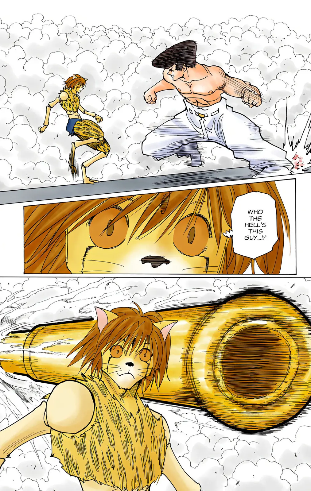 Hunter x Hunter Colored Manga, chapter 220, page 13