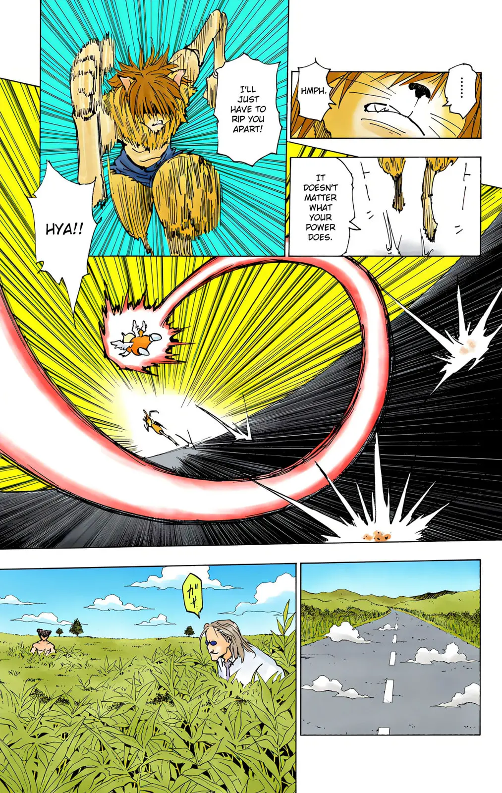 Hunter x Hunter Colored Manga, chapter 221, page 13