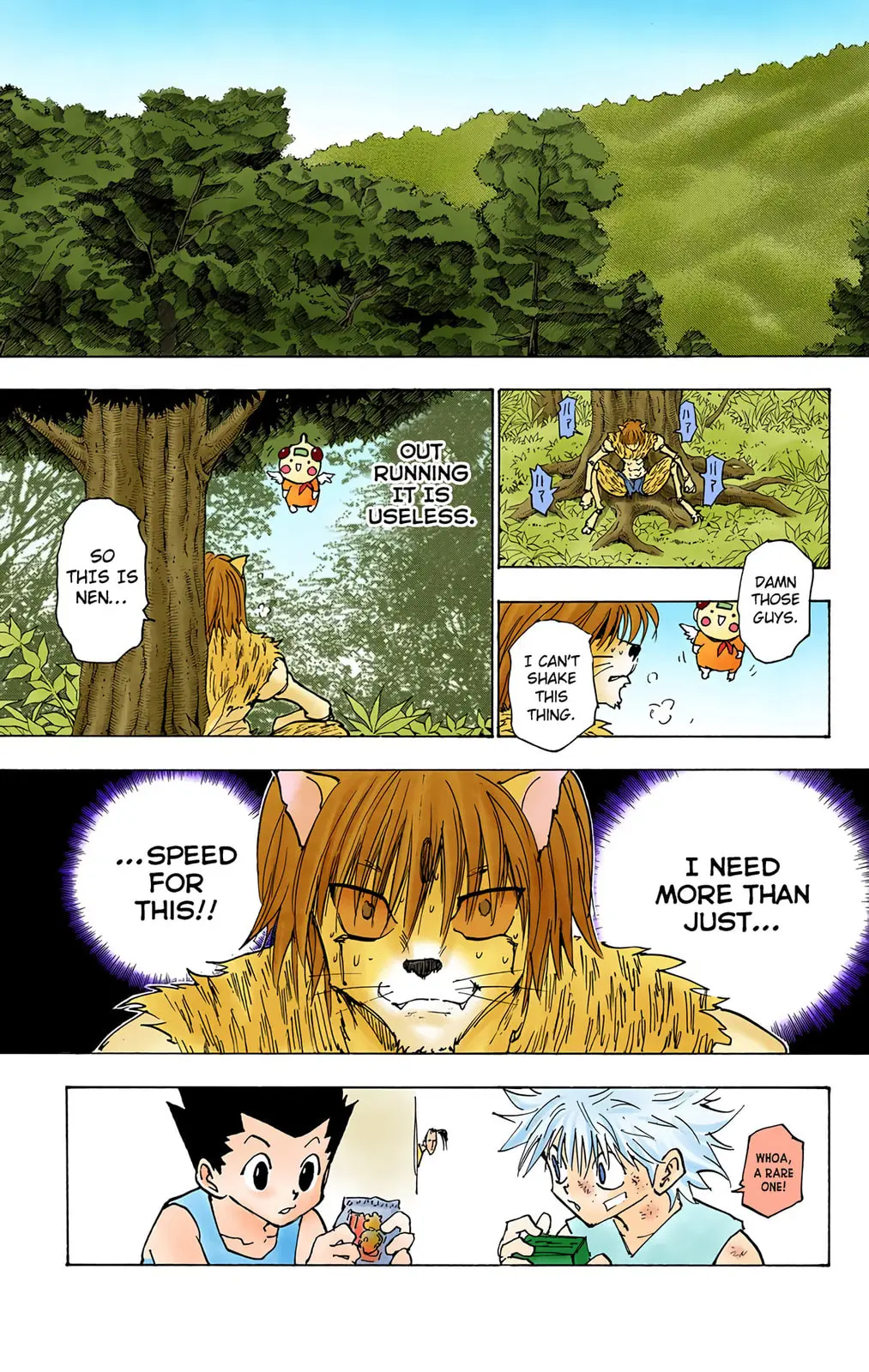 Hunter x Hunter Colored Manga, chapter 221, page 15
