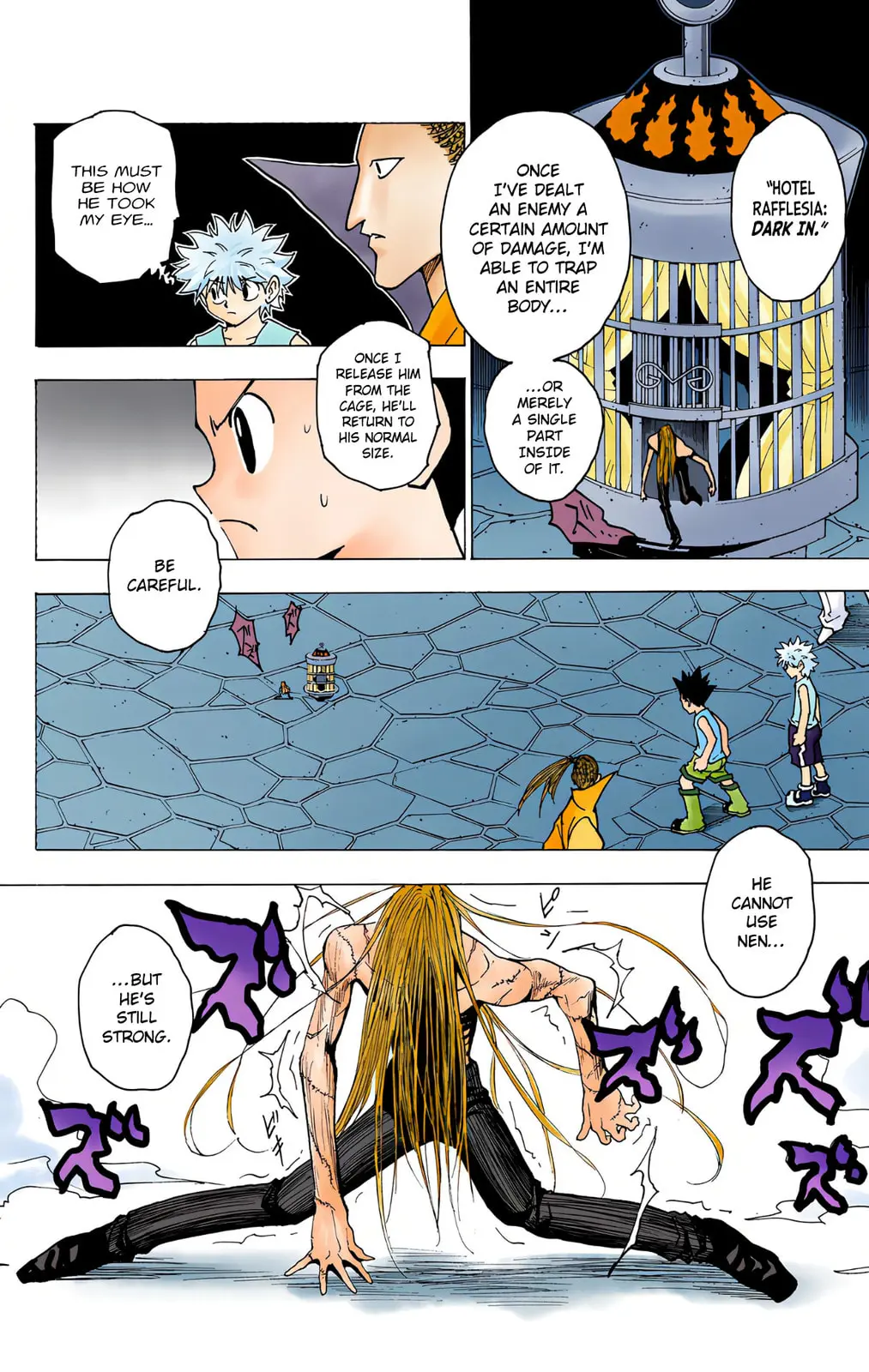 Hunter x Hunter Colored Manga, chapter 222, page 2