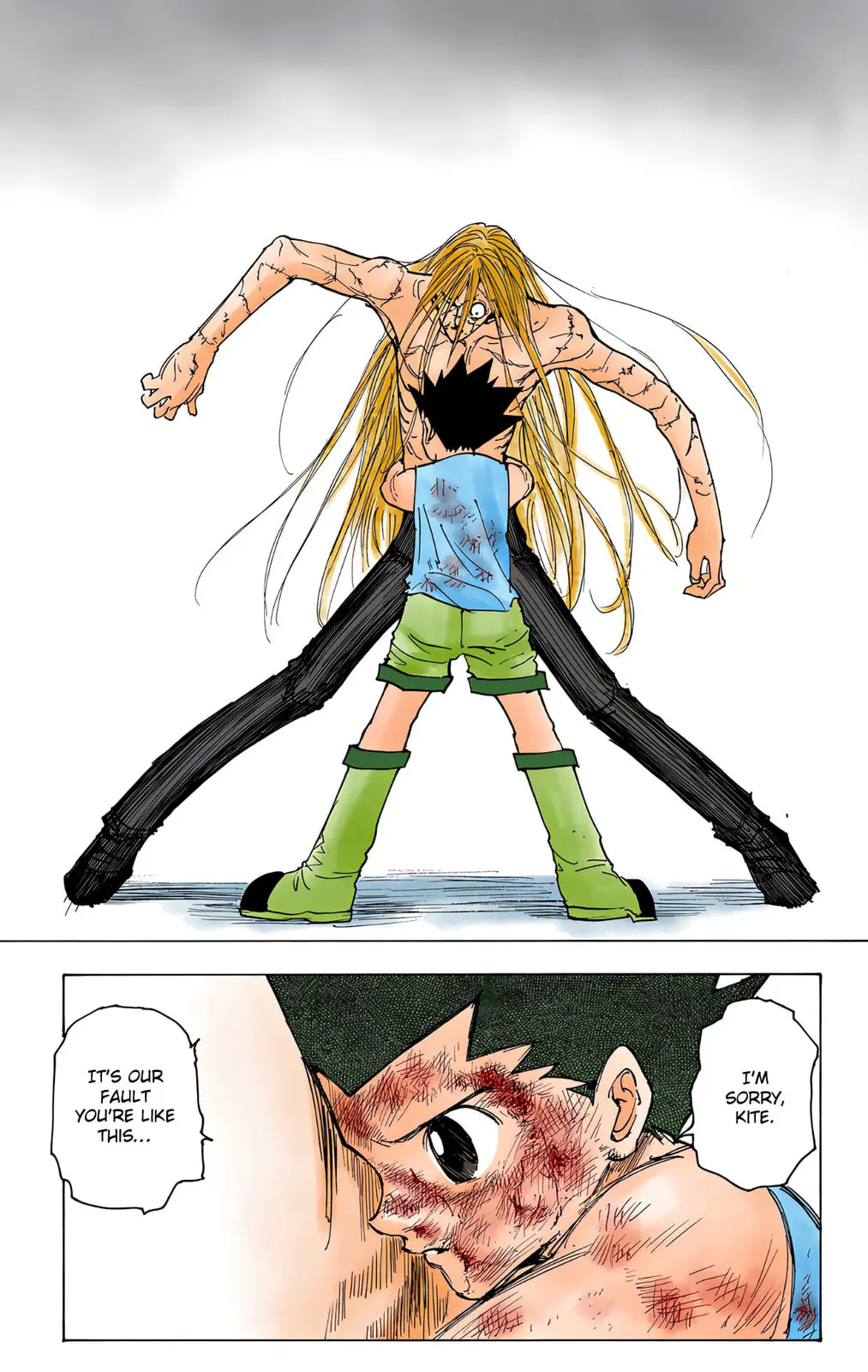 Hunter x Hunter Colored Manga, chapter 222, page 11