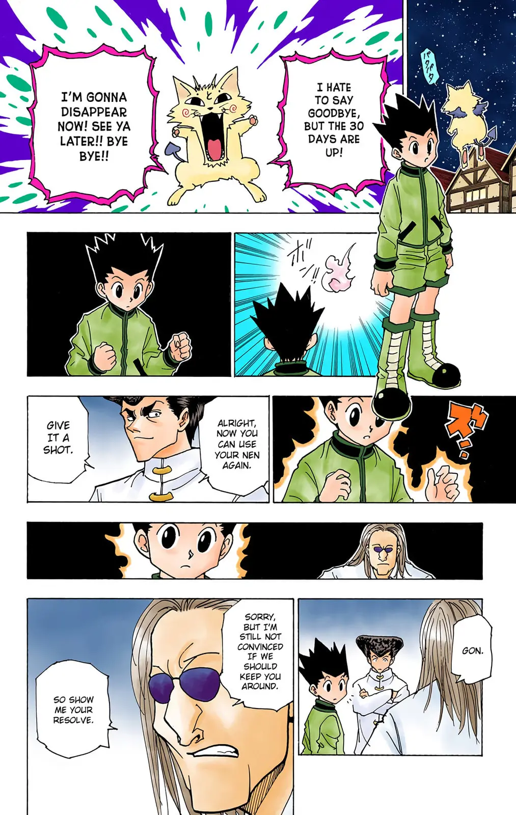 Hunter x Hunter Colored Manga, chapter 223, page 8