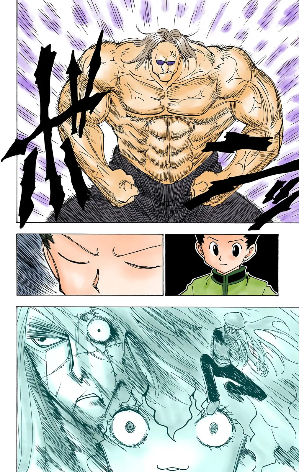Hunter x Hunter Colored Manga, chapter 223, page 10