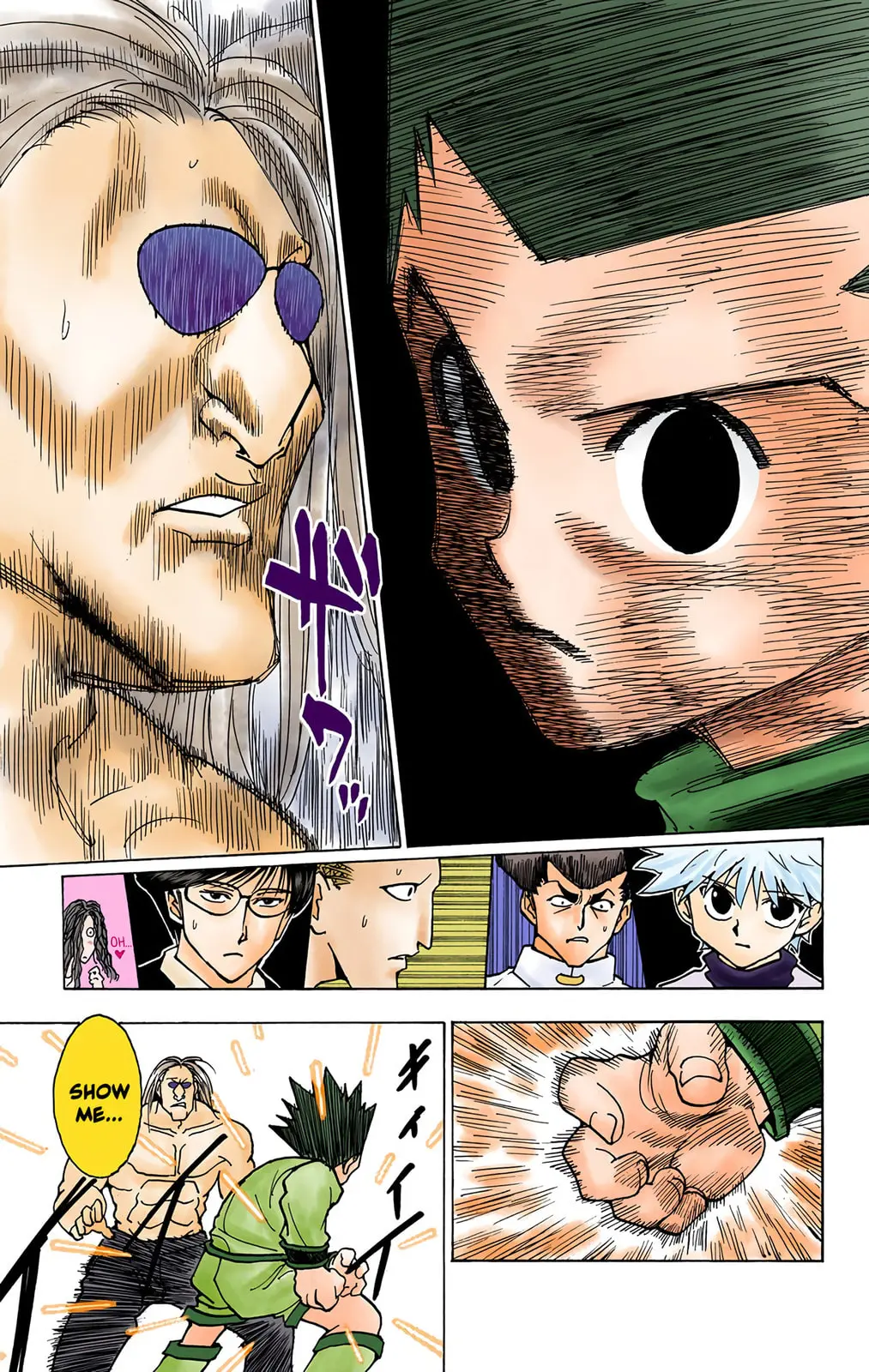 Hunter x Hunter Colored Manga, chapter 223, page 11